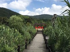 -湾里人家(旺山景区店)