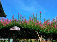 -武汉紫薇都市田园