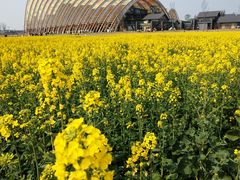 -中国天府农业博览园