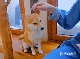 又是一个周末，闲来无事去河坊街逛逛，刚好看见那边有逗
