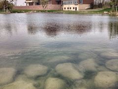 滆湖低碳生态公园-滆湖低碳生态公园