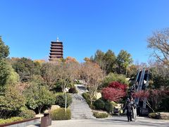 -牛首山文化旅游区