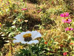 -白塘生态植物园