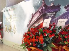 -交通银行前滩31演艺中心