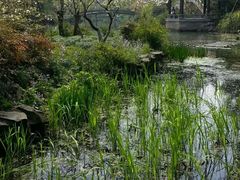 -西湖外事游船(花港观鱼码头)