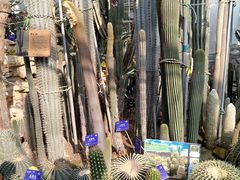 -国家植物园南园