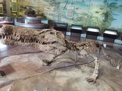-自贡恐龙博物馆