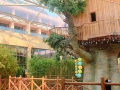 -杭州开元森泊度假乐园