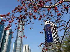 -中航城君尚购物中心