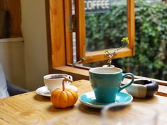 铁毕卡顶级圆豆-YLK云南小粒咖啡·云里咖(二号店)