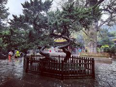 -普陀山风景名胜区-法雨禅寺