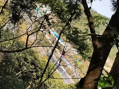 -梧桐山风景名胜区