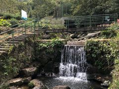 -藏龙百瀑风景区