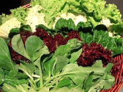 -额尔敦传统涮(公园西路店)