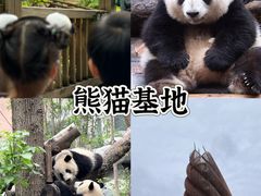 -何师烧烤Pro ·江湖川菜·小龙虾·精酿啤酒(太古里旗舰店)