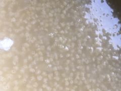 -槿Story·韩国料理(望京韩国美食城店)