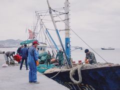 -枸杞岛