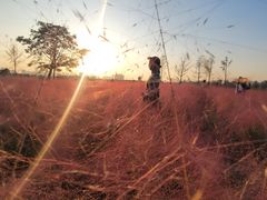 -汉长安城未央宫国家考古遗址公园