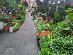 -循礼门鲜花花市(武汉循礼门店)