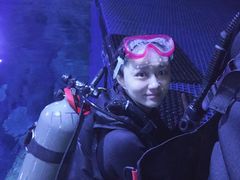 -成都浩海立方海洋公园