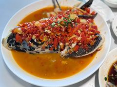 -全乐鱼馆·淳牌有机鱼直营店