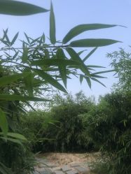 -大望京儿童游乐场