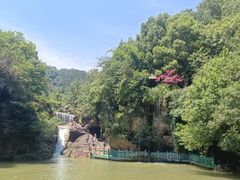 -美人谷景区
