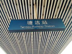 -塘沽站