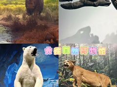-大连自然博物馆