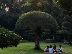 -南宁南湖公园