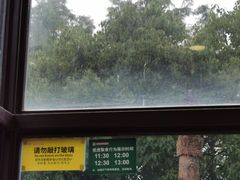 -上海野生动物园老虎餐厅