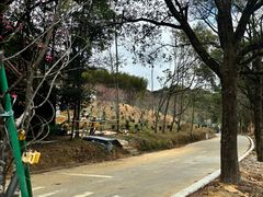 -广州市石门国家森林公园
