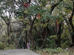 -宝通禅寺