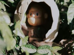 -上海佘山国家森林公园天马山园