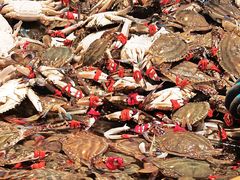 -一方渔歌蒸汽海鲜自助(文化路万达广场店)