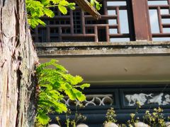 -嘉定紫藤园