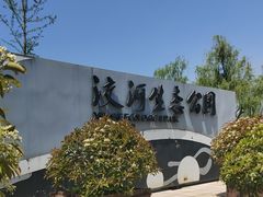 -洨河生态公园