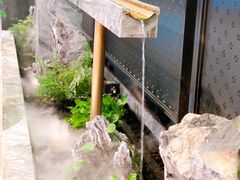 -辛香汇·现炒川菜(淮海路百盛店)