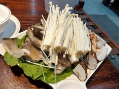 菌类大拼-葛记红焖羊肉(和平路形象店)