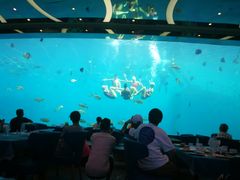 -瑞德姆美人鱼海底演艺主题餐厅(亚龙湾店)