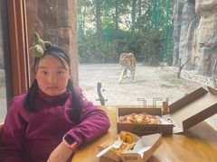 -上海野生动物园老虎餐厅