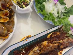 -京城·森鸽排档(双井店)