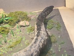 -长江文明馆