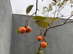 -江滨壹号艺文空间复合餐厅(闽江大道店)