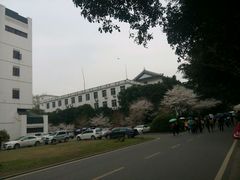 -武汉大学-樱园