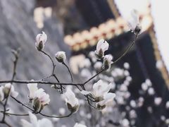 -东华门大街小区
