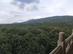 -灵谷景区