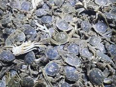 -聚盛源蒸汽海鲜火锅烤肉自助(巨川金海岸购物广场店)