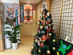 -猫十亿·布偶金渐层·曼基康矮脚猫舍(青年路店)