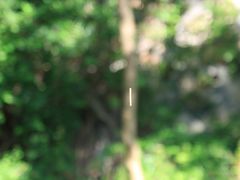 景点-铁路文化公园